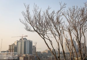 بازار نوسازها در سعادت آباد؛افزایش قیمت‌ها؛ خرید با نرخ گذشته!