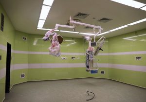 ممنوعیت تعطیلی خودسرانه بخش‌های بستری در نوروز