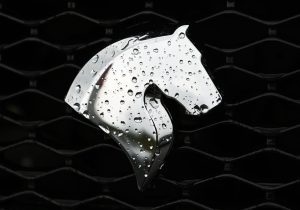 پیرمحمدی، مدیرعامل ایران‌خودرو شد