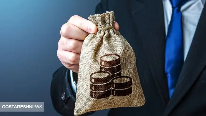 ۶ دلیل اصلی حذف یارانه نقدی اعلام شد + جزییات