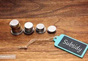 وعده بزرگ رئیس‌ جمهور به مردم | یارانه معیشتی پر و پیمان می‌ شود