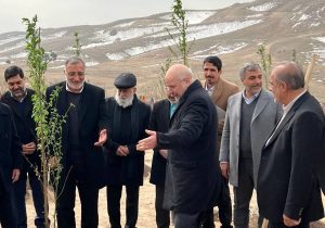 پایان کمربند سبز ۵۰ هزار هکتاری تهران پس از ۳۸ سال / درختکاری روی کوه‌های شمال تهران کلید می‌خورد