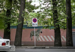 چنارهای ولیعصر در لبه تیغ؛ احیا یا نابودی؟