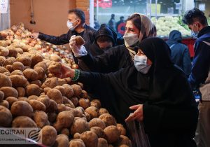از کجا سیب زمینی ارزان بخریم ؟/ کمبود سیب زمینی نداریم وفور محصول در میادین تهران