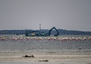 توقف پروژه پتروشیمی میانکاله؛ بازپس‌گیری زمین طبق دستور رئیس‌جمهوری