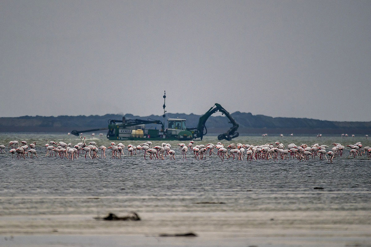 توقف پروژه پتروشیمی میانکاله؛ بازپس‌گیری زمین طبق دستور رئیس‌جمهوری
