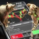 صعود پر قدرت بورس | اخبار مهم برای فعالان بازار سرمایه اعلام شد
