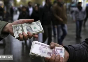 مجلس دلالان مسکن، طلا و ارز را به خاک سیاه نشاند