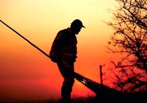 نظافت با جان پاکبان‌ها؛قربانیان سرعت در خیابان‌های تهران