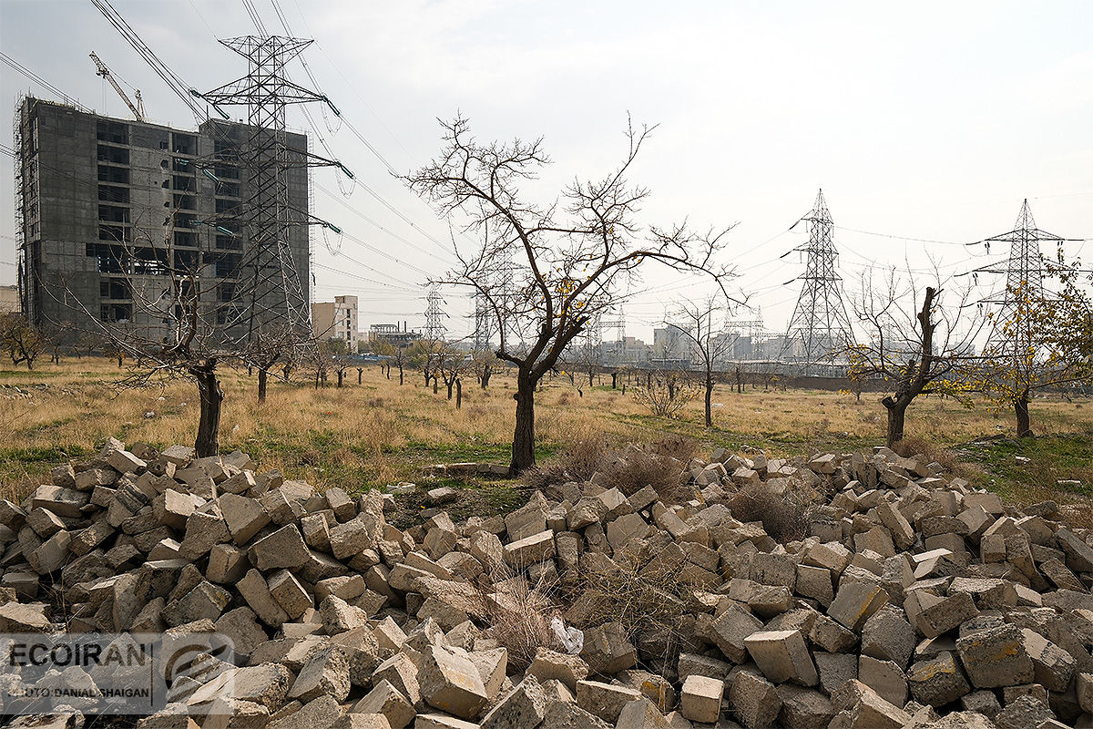 اختلاف شورا با دیوان عدالت بر سر باغات تهران/ حکم همه باغات تغییر می کند