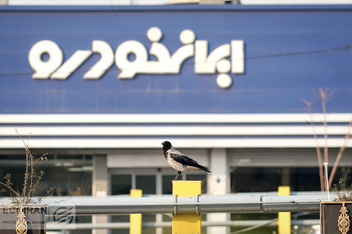 ایران خودرو نقشه جدید کشید / پژو آب رفت