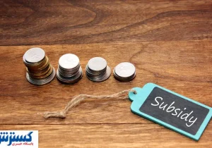 با این درآمد و خرج ماهانه از لیست یارانه بگیران خارج می‌شوید