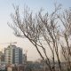 دوره انتظار ۲۷ ساله برای خانه‌دار شدن در کشور