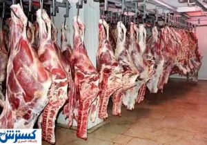 شوک قیمتی جدید به سفره مردم | آماده باشید!