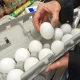 فاجعه در کمین امنیت غذایی کشور | تخم‌مرغ ۲۵ هزار تومانی و مرگ تولید !