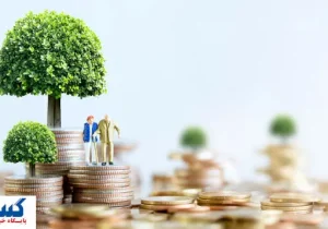 وزیرکار کام بازنشستگان را عسل کرد