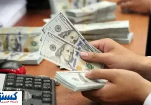 پیشگویی داغ از قیمت دلار ویژه سرمایه‌گذاران | منتظر ریزش شدید باشیم ؟