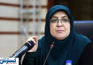 آخرین جزئیات درباره حمله سایبری به سپه و پاسارگاد