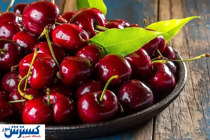 قیمت گیلاس کنترل شد | اوضاع بازار تغییر کرد