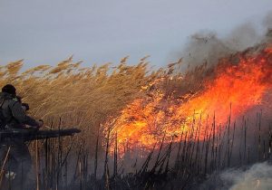 تأمین حق‌آبه تنها راه‌حل برای مهار آتش‌سوزی در هورالعظیم