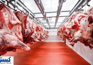 مالیات بر ارزش افزوده برای این محصولات حذف شد + فهرست کامل