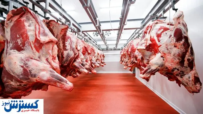 مالیات بر ارزش افزوده برای این محصولات حذف شد + فهرست کامل