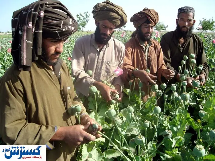 اخراج افغان‌ها برای ایران شر شد !