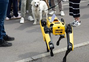 سگ‌های رباتیک پشه‌کش، جدیدترین راه‌حل مبارزه با بیماری‌ها