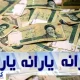 یارانه نقدی باید مشروط شود