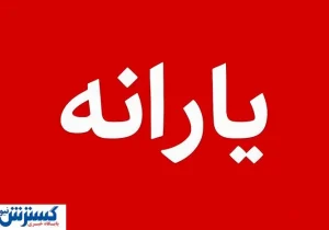 وزیر پزشکیان شرط بازگشت یارانه حذف‌شده‌ها را اعلام کرد