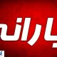 پزشکیان شخصاً دستور واریز یارانه ۲ میلیونی را صادر کرد