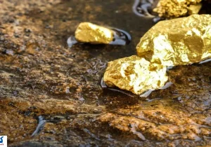 کوه طلا در کشور فوران کرد | انقلاب زرین در پیش است