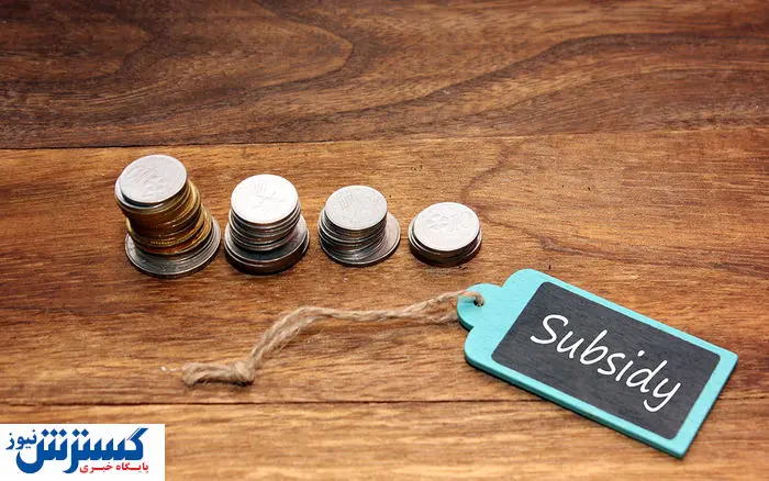 یارانه نقدی میلیونی برای پولدارها؛ اشتباه بزرگ در دهک‌بندی ها برملا شد