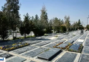 تأمین اجتماعی برای بیمه شدگان سنگ تمام گذاشت !