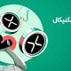 آیا ریپل آماده بازگشت است؟ بررسی فوری روند XRP