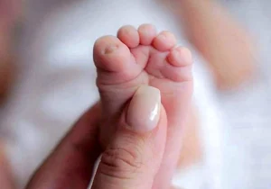 دولت سنگ تمام گذاشت ؛ آغاز ثبت نام سهام ویژه نوزادان + لینک اصلی