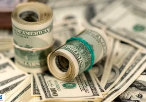 قیمت دلار به این شرط کاهشی می شود | خریداران بخوانند