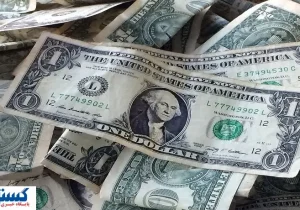 نماینده مجلس قیمت دلار را تا زمستان ۱۴۰۴ پیش‌بینی کرد